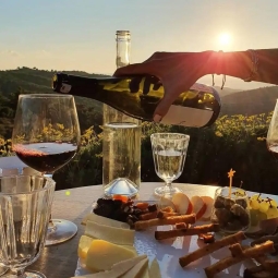 Wine Tour in Urla