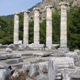 Priene & Miletus & Didyma Tour