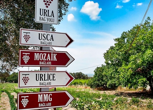 Daily Urla Tour