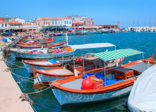 Daily Urla Tour