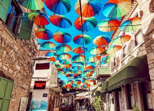 Daily Urla Tour