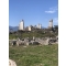 Afrodisias Antik Kenti | Denizli'de Gezilecek Yerler